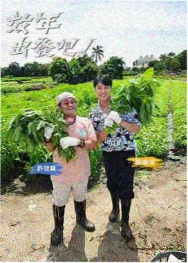 声浪来袭 综艺封面